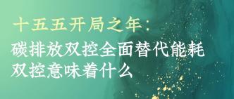 十五五开局之年：碳排放双···
