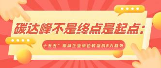碳达峰不是终点是起点：“···